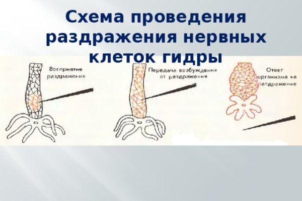 Кракен зеркало krk market com